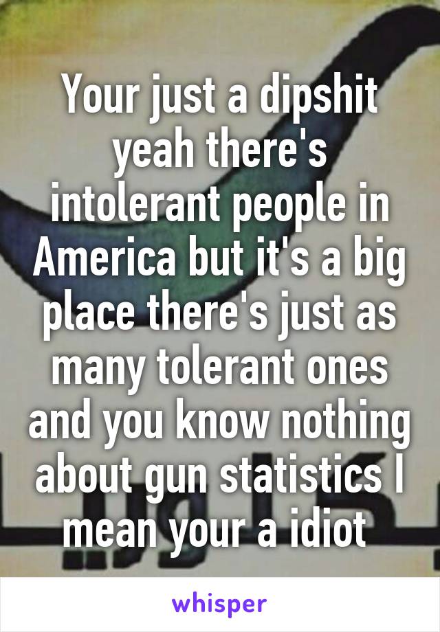 Your just a dipshit yeah there's intolerant people in America but it's a big place there's just as many tolerant ones and you know nothing about gun statistics I mean your a idiot 