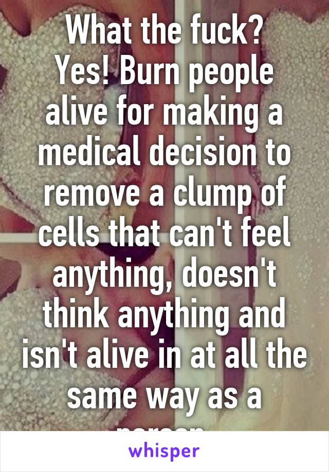 What the fuck?
Yes! Burn people alive for making a medical decision to remove a clump of cells that can't feel anything, doesn't think anything and isn't alive in at all the same way as a person.