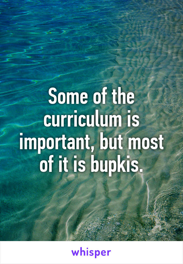 Some of the curriculum is important, but most of it is bupkis.