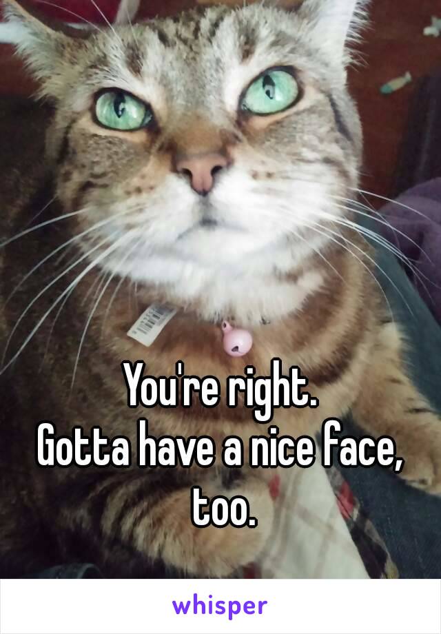 You're right.
Gotta have a nice face, too.