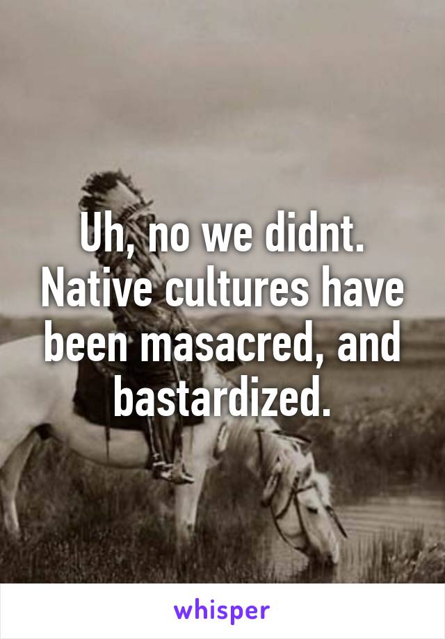 Uh, no we didnt. Native cultures have been masacred, and bastardized.