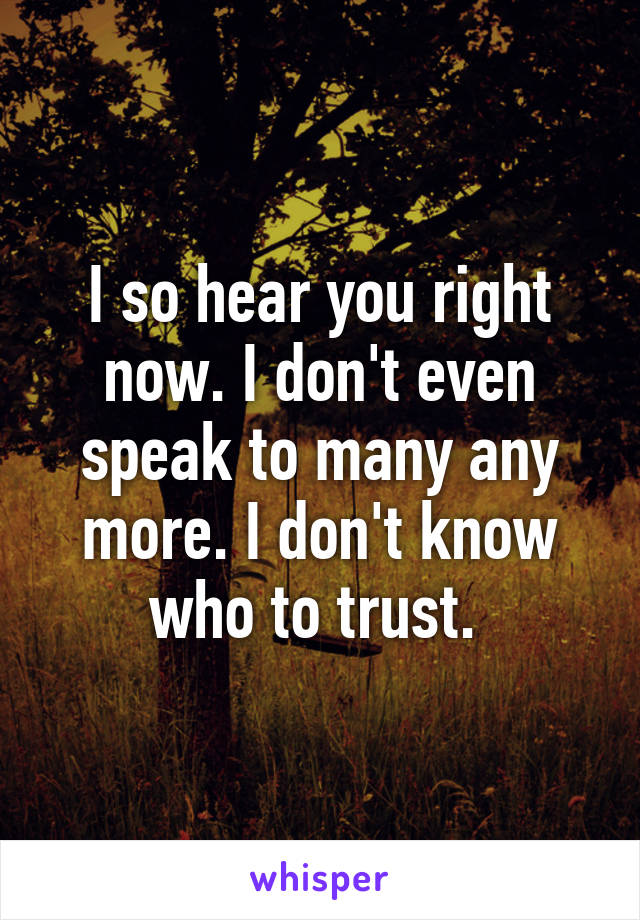 I so hear you right now. I don't even speak to many any more. I don't know who to trust. 