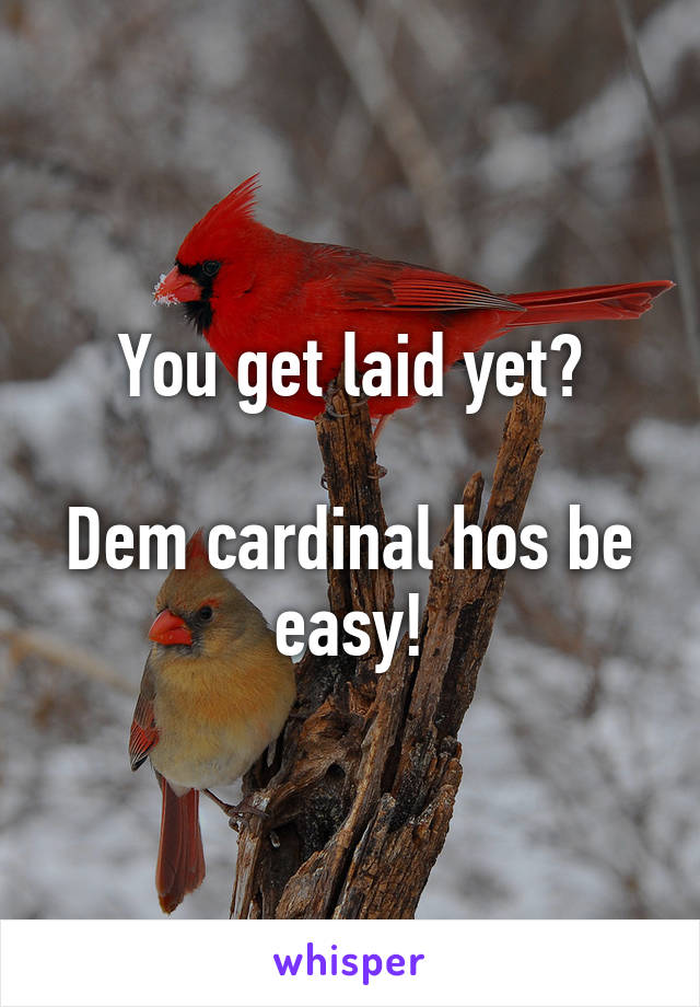 You get laid yet?

Dem cardinal hos be easy!