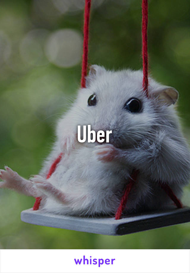 Uber