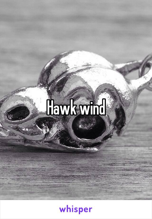 Hawk wind 