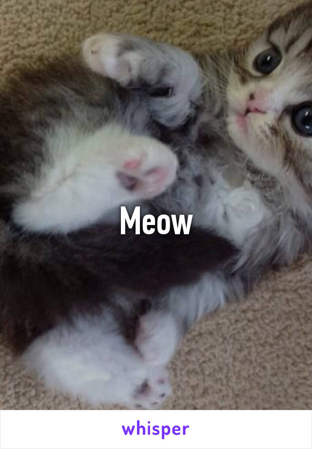 Meow