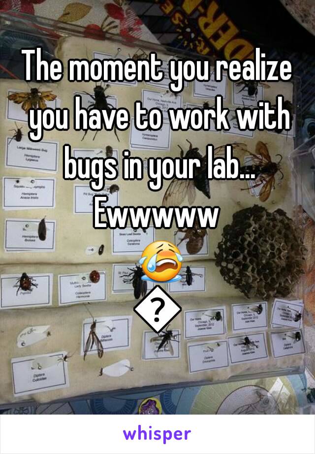 The moment you realize you have to work with bugs in your lab...
Ewwwww ðŸ˜­ðŸ˜­