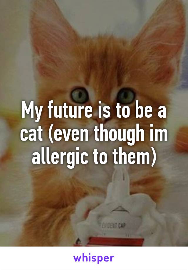 My future is to be a cat (even though im allergic to them)