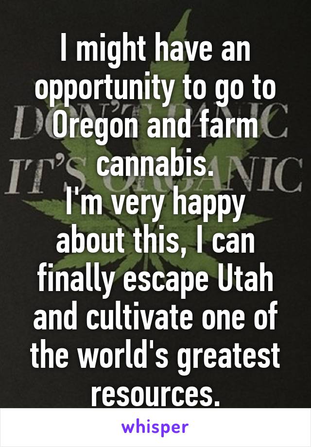 I might have an opportunity to go to Oregon and farm cannabis.
I'm very happy about this, I can finally escape Utah and cultivate one of the world's greatest resources.