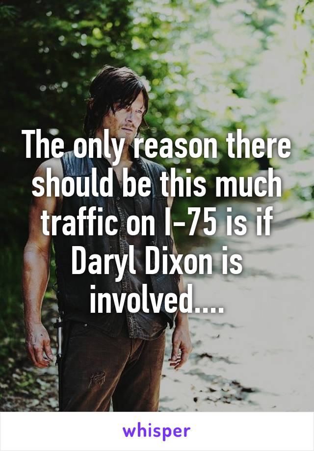 The only reason there should be this much traffic on I-75 is if Daryl Dixon is involved....