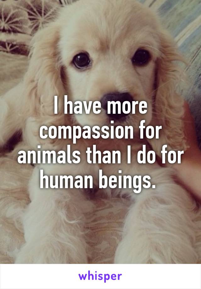 I have more compassion for animals than I do for human beings. 