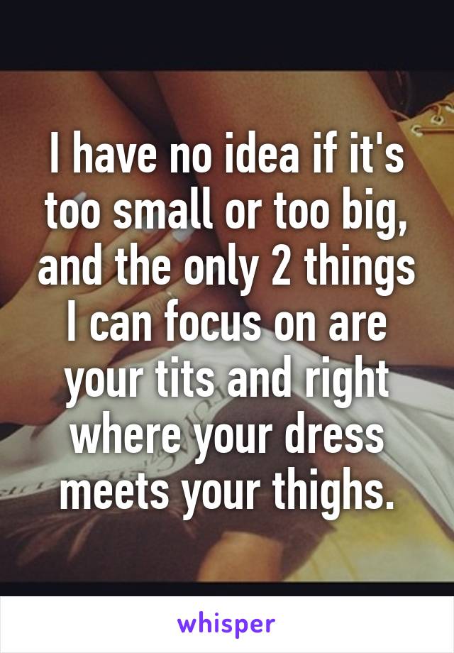 I have no idea if it's too small or too big, and the only 2 things I can focus on are your tits and right where your dress meets your thighs.