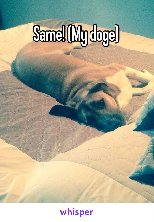 Same! (My doge)
