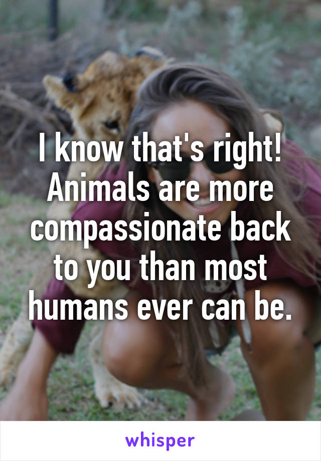 I know that's right! Animals are more compassionate back to you than most humans ever can be.