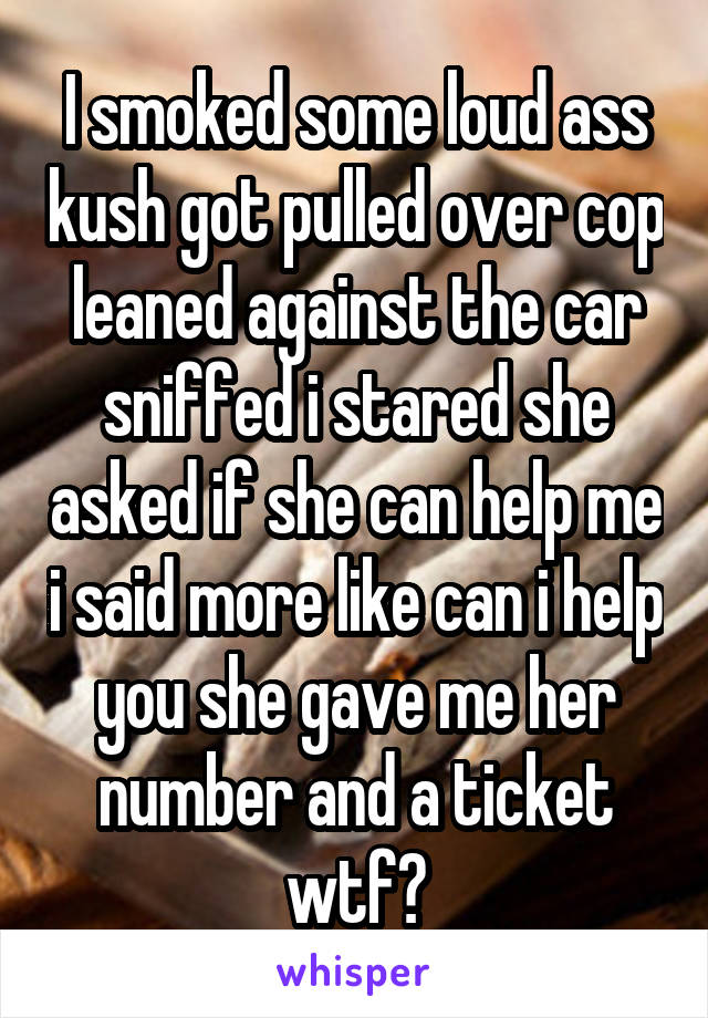 I smoked some loud ass kush got pulled over cop leaned against the car sniffed i stared she asked if she can help me i said more like can i help you she gave me her number and a ticket wtf?