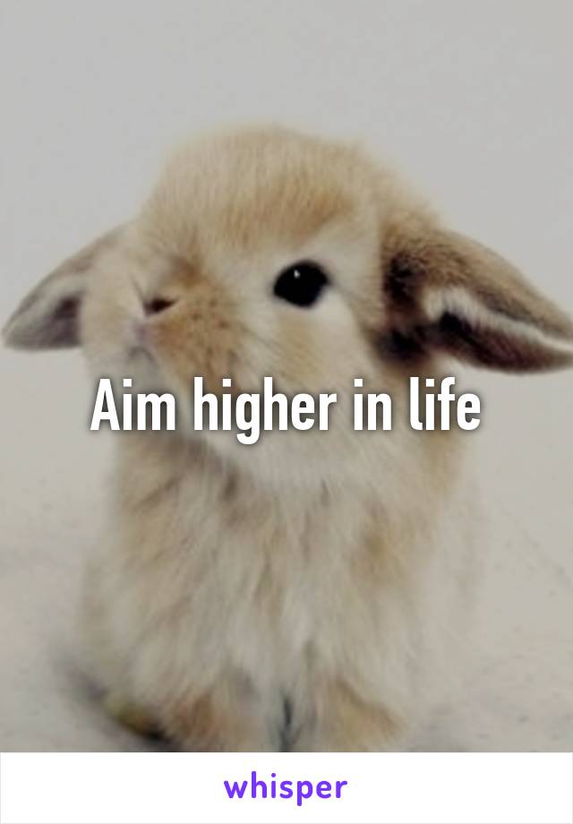 Aim higher in life