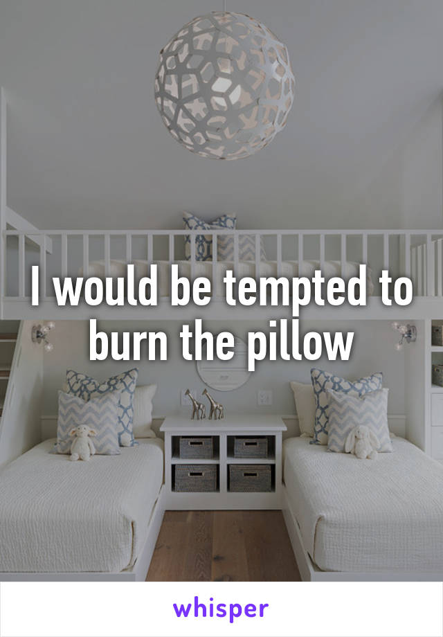 I would be tempted to burn the pillow