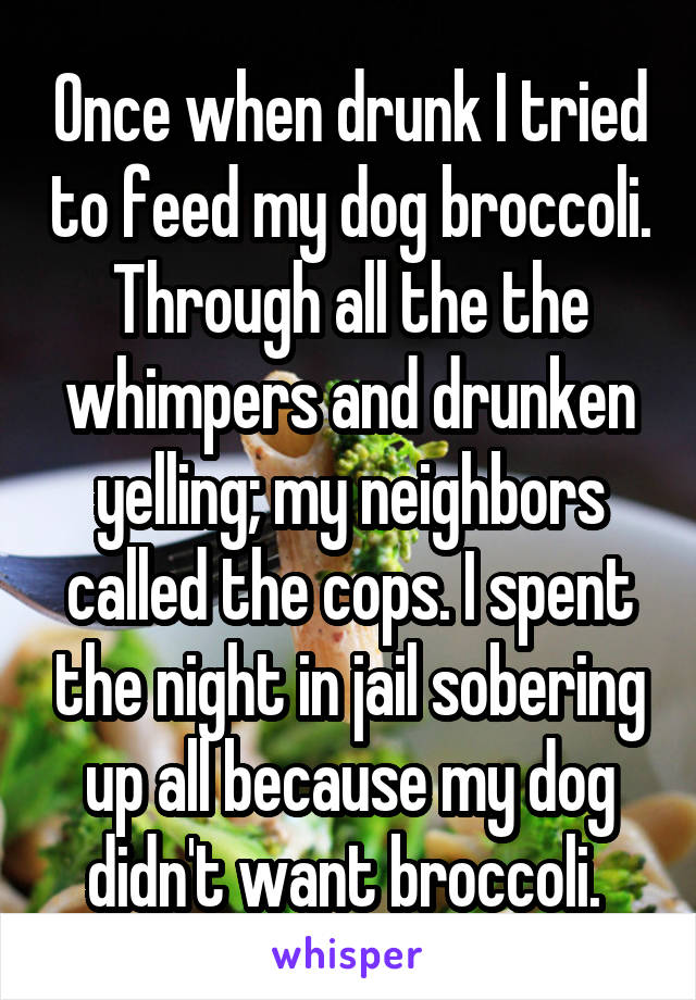 Once when drunk I tried to feed my dog broccoli. Through all the the whimpers and drunken yelling; my neighbors called the cops. I spent the night in jail sobering up all because my dog didn't want broccoli. 