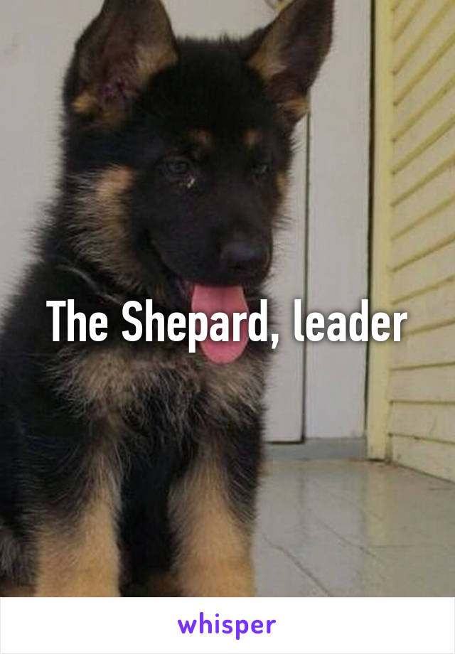 The Shepard, leader