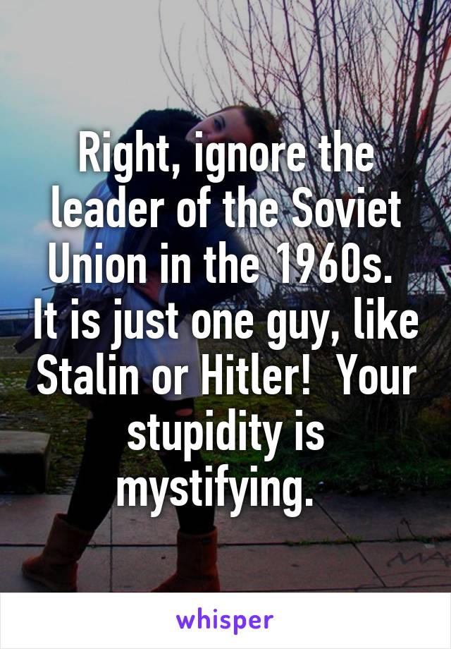 Right, ignore the leader of the Soviet Union in the 1960s.  It is just one guy, like Stalin or Hitler!  Your stupidity is mystifying.  