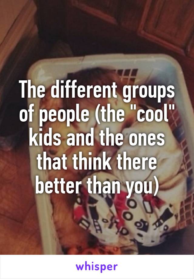 The different groups of people (the "cool" kids and the ones that think there better than you)