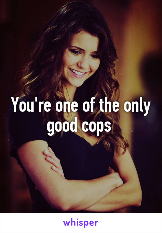 You're one of the only good cops 