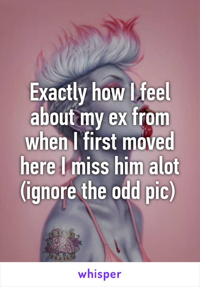 Exactly how I feel about my ex from when I first moved here I miss him alot
(ignore the odd pic) 