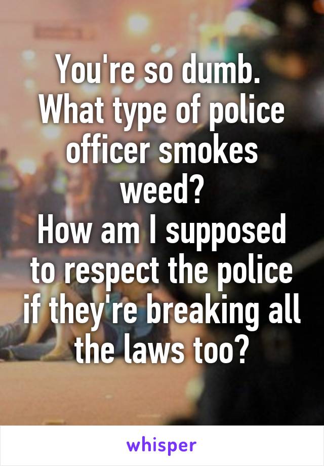 You're so dumb. 
What type of police officer smokes weed?
How am I supposed to respect the police if they're breaking all the laws too?
