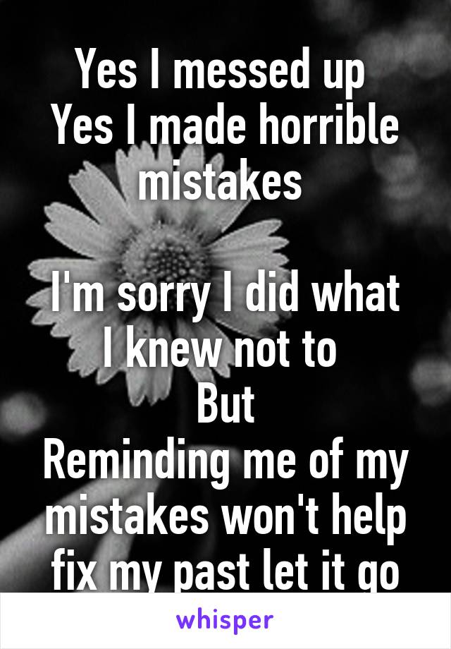 Yes I messed up 
Yes I made horrible mistakes 

I'm sorry I did what I knew not to 
But
Reminding me of my mistakes won't help fix my past let it go