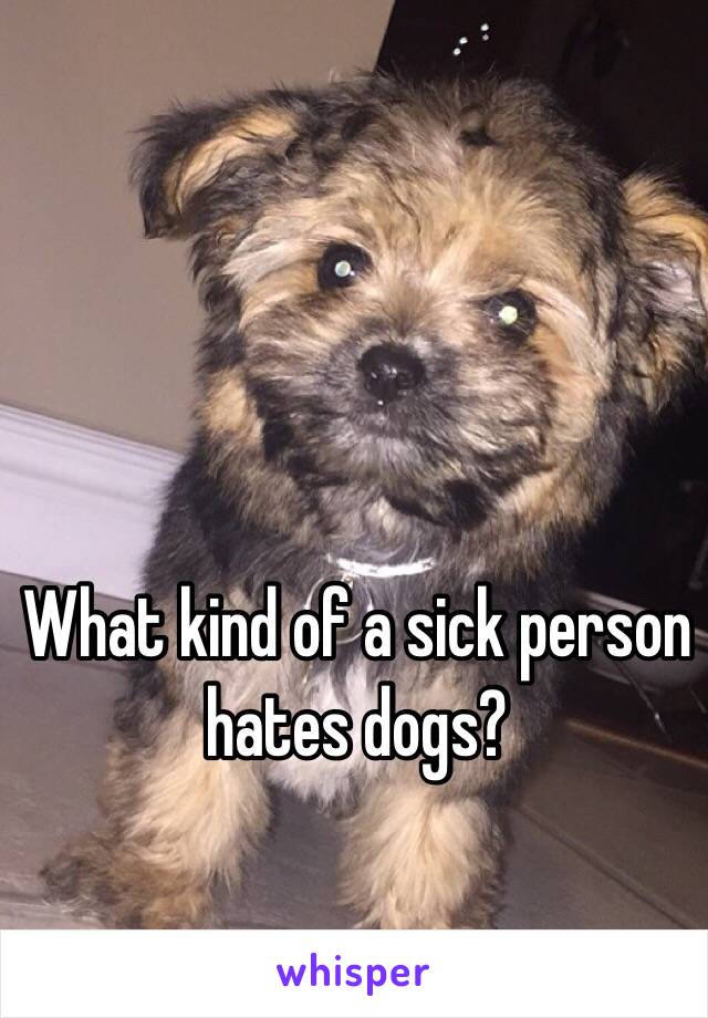 What kind of a sick person hates dogs? 