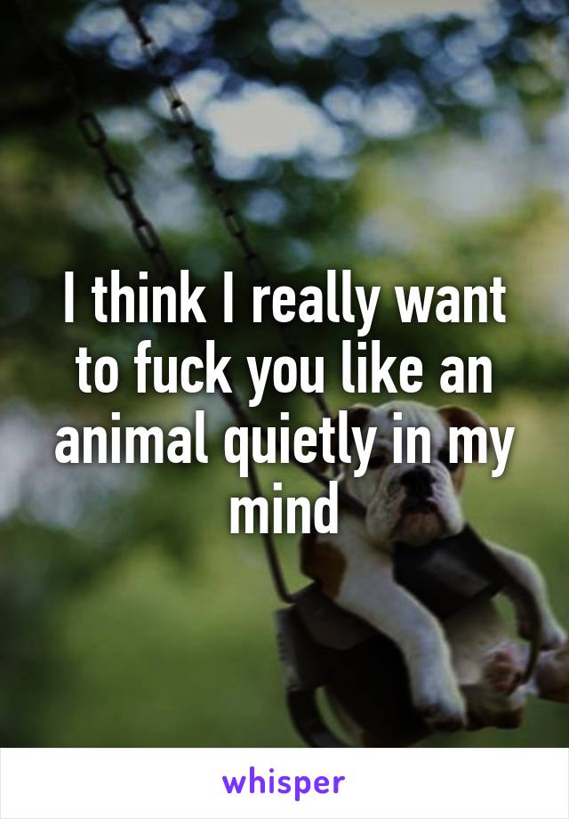I think I really want to fuck you like an animal quietly in my mind