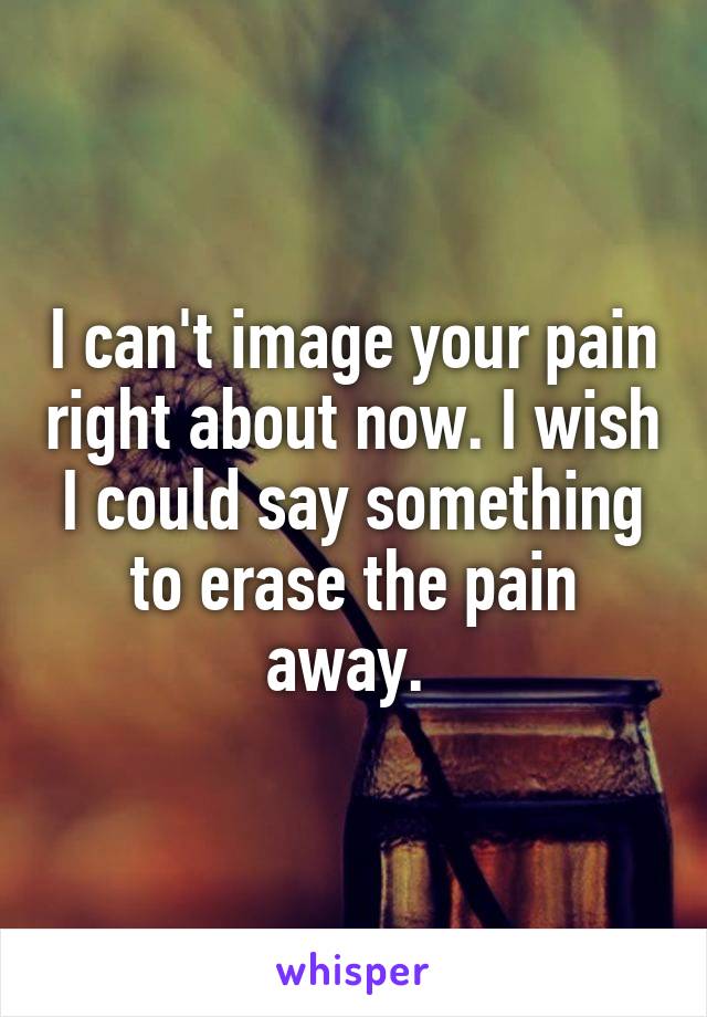 I can't image your pain right about now. I wish I could say something to erase the pain away. 