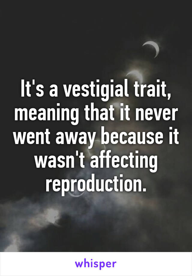 It's a vestigial trait, meaning that it never went away because it wasn't affecting reproduction.