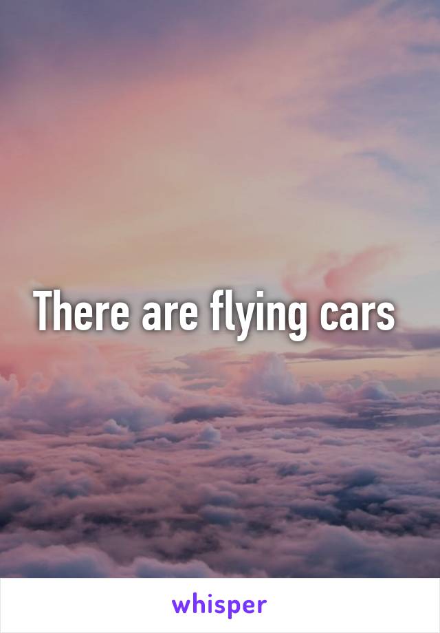 There are flying cars 