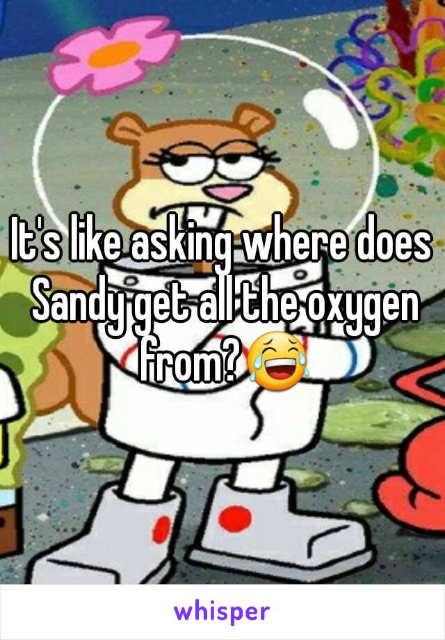 It's like asking where does Sandy get all the oxygen from?😂