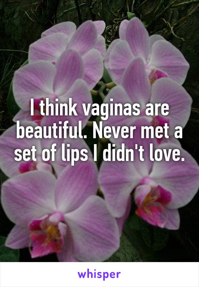I think vaginas are beautiful. Never met a set of lips I didn't love. 