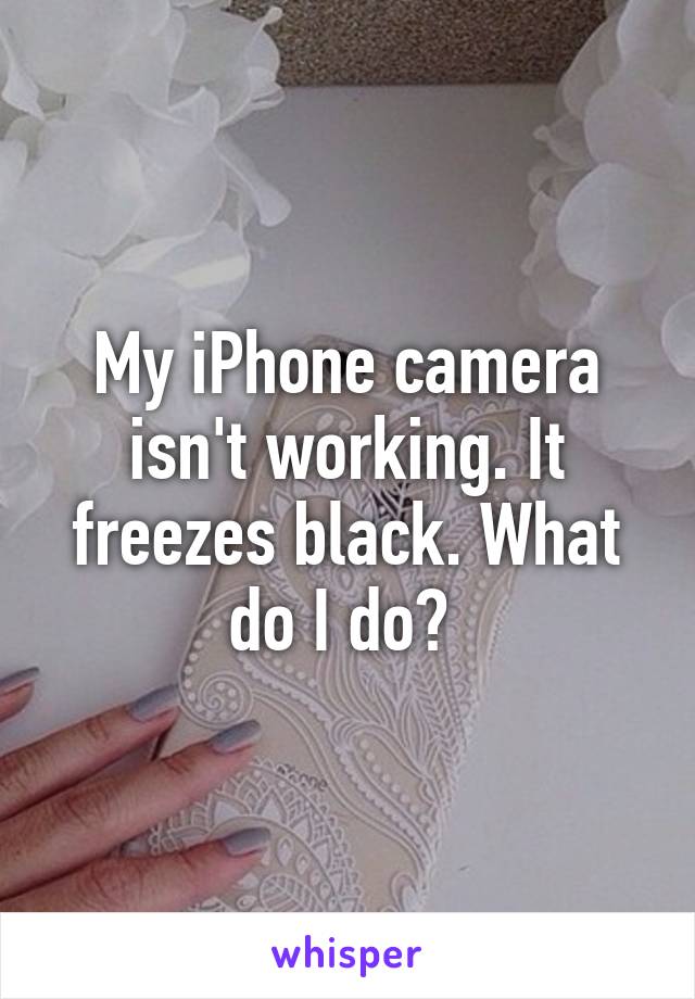 My iPhone camera isn't working. It freezes black. What do I do?