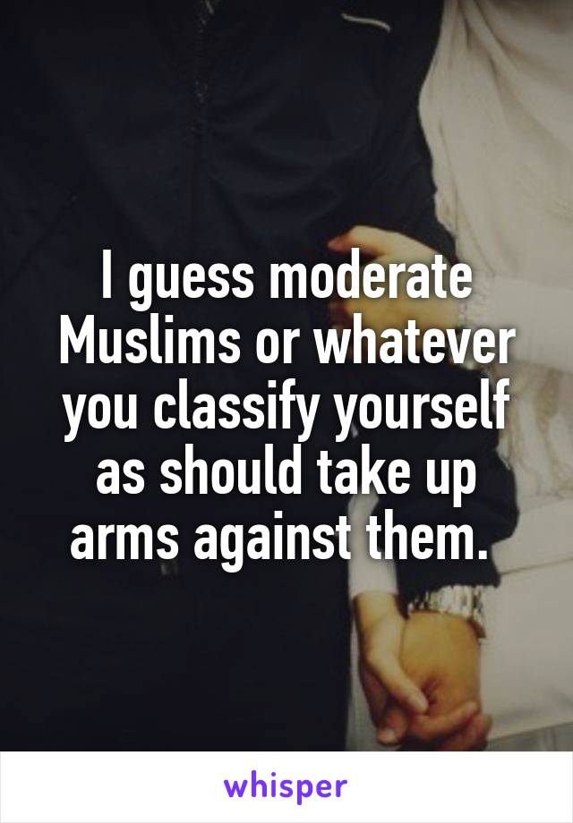 I guess moderate Muslims or whatever you classify yourself as should take up arms against them. 
