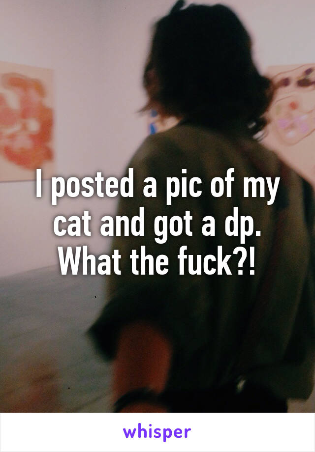 I posted a pic of my cat and got a dp. What the fuck?!