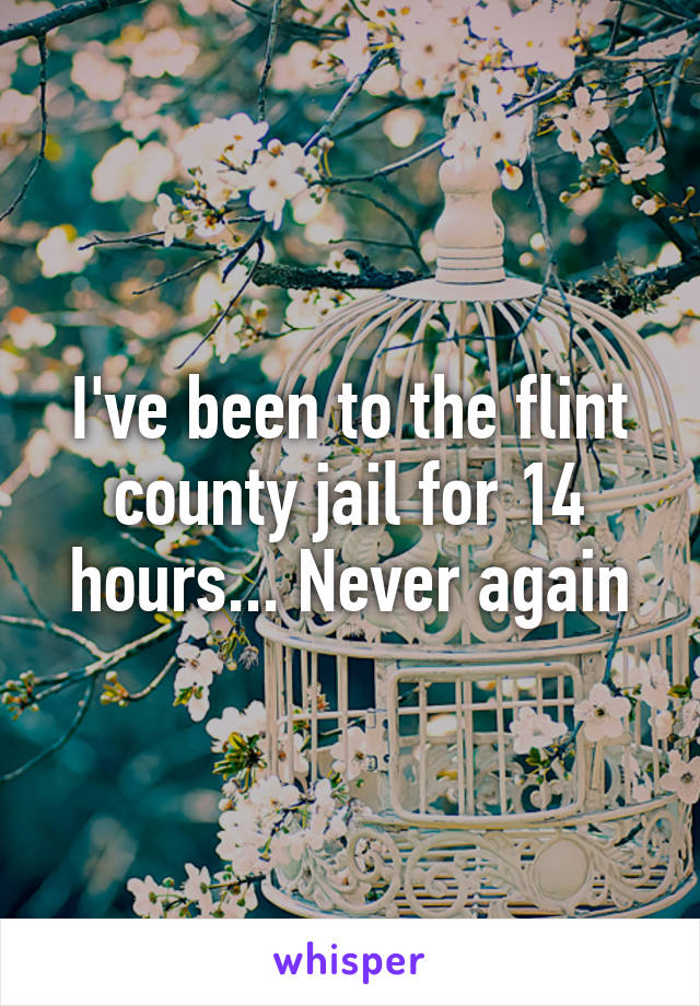 I've been to the flint county jail for 14 hours... Never again