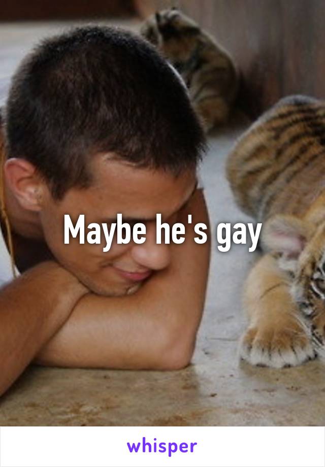 Maybe he's gay