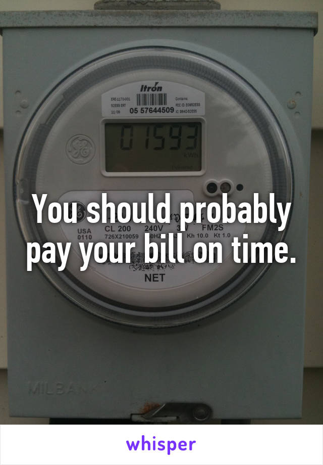 You should probably pay your bill on time.