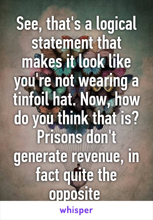 See, that's a logical statement that makes it look like you're not wearing a tinfoil hat. Now, how do you think that is? Prisons don't generate revenue, in fact quite the opposite 