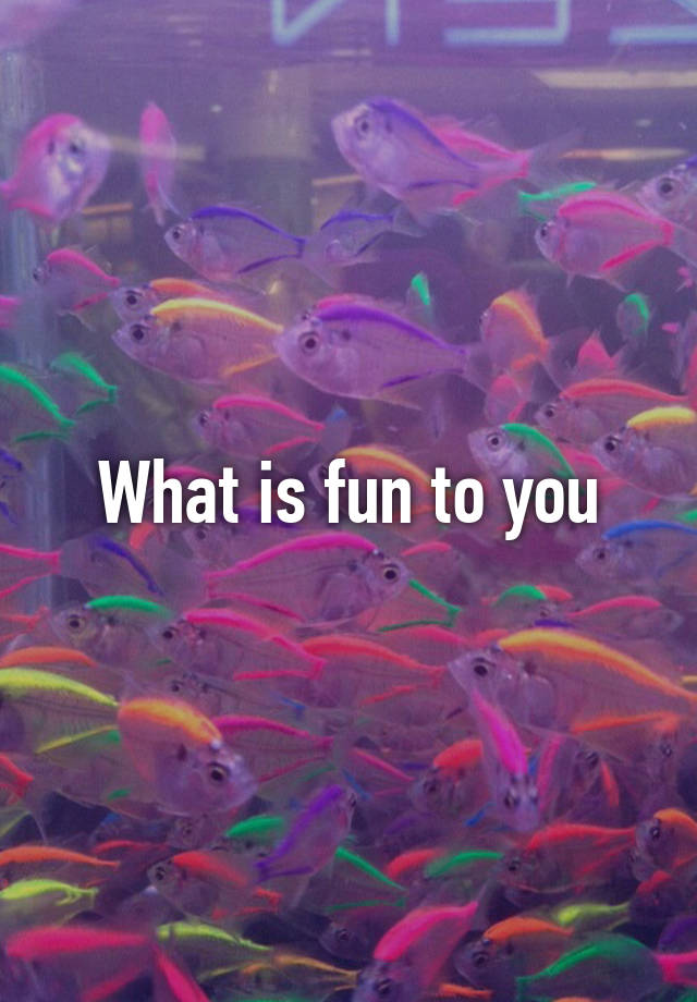 what-is-fun-to-you