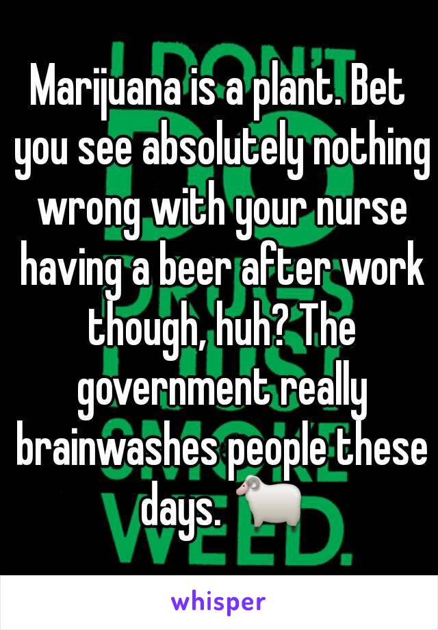 Marijuana is a plant. Bet you see absolutely nothing wrong with your nurse having a beer after work though, huh? The government really brainwashes people these days. 🐑