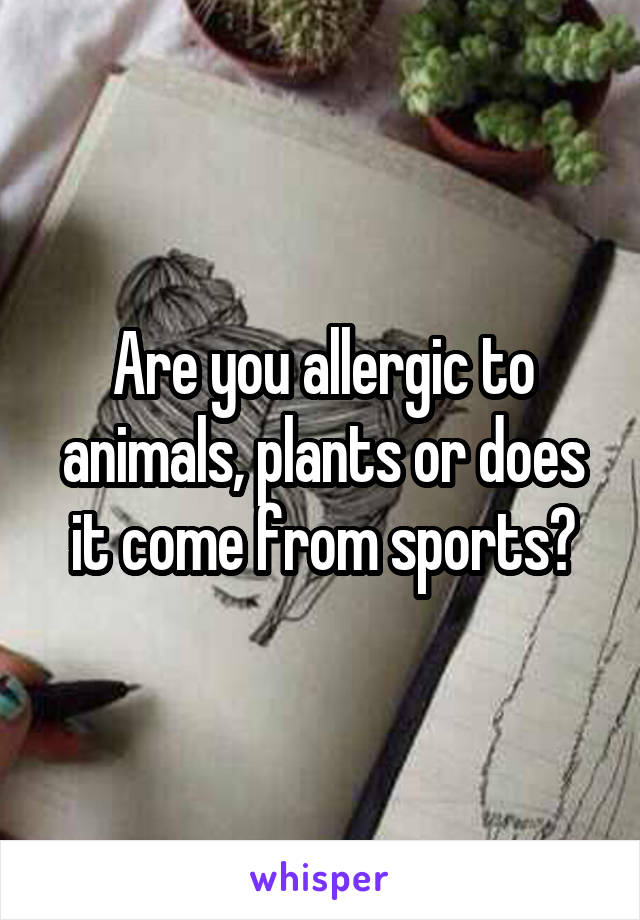 Are you allergic to animals, plants or does it come from sports?