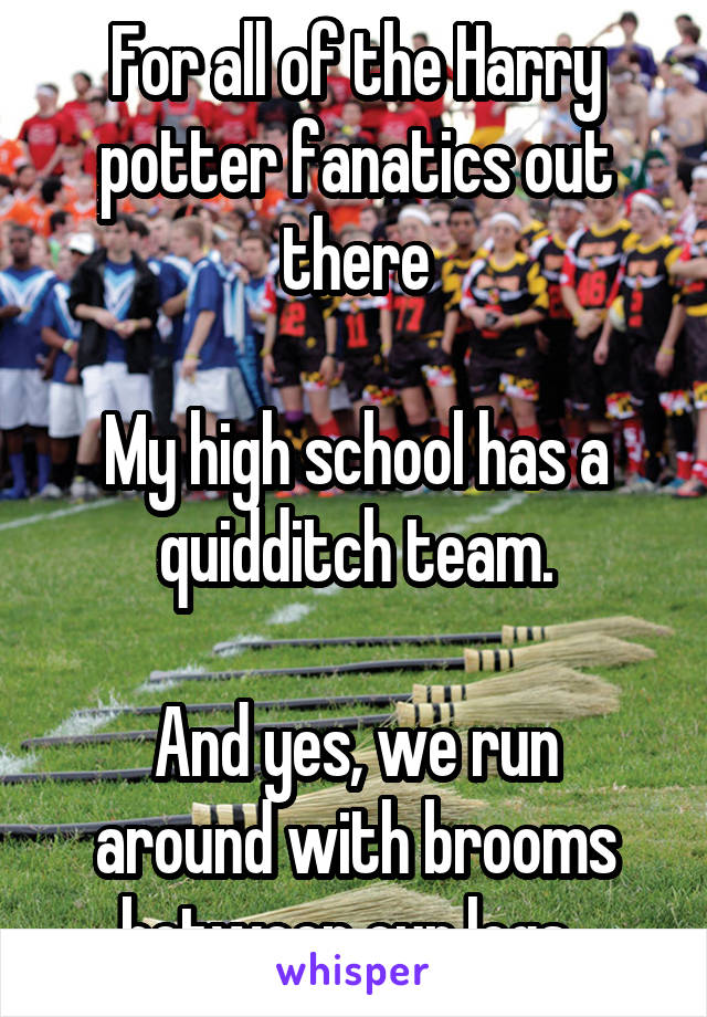 For all of the Harry potter fanatics out there

My high school has a quidditch team.

And yes, we run around with brooms between our legs. 