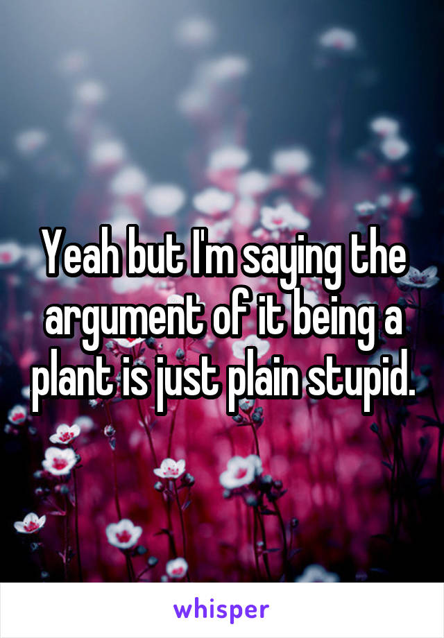 Yeah but I'm saying the argument of it being a plant is just plain stupid.