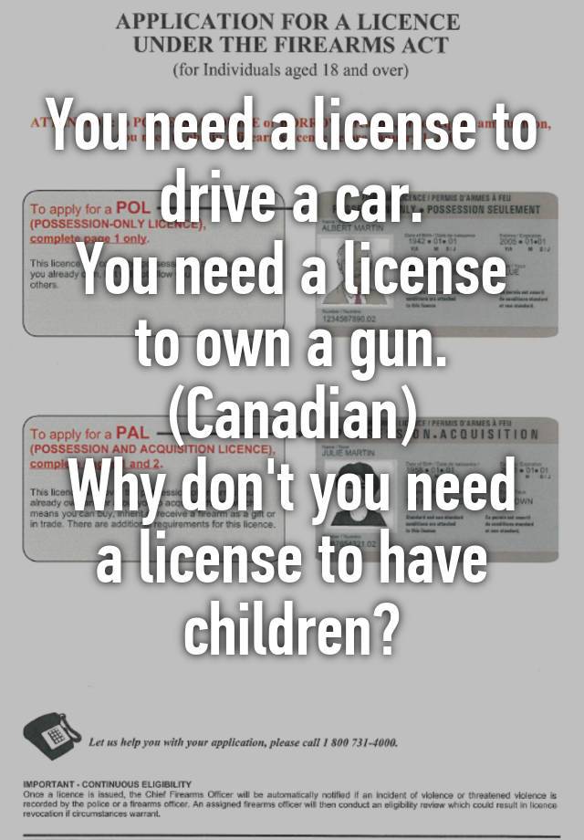 you-need-a-license-to-drive-a-car-you-need-a-license-to-own-a-gun