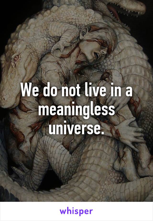 we-do-not-live-in-a-meaningless-universe